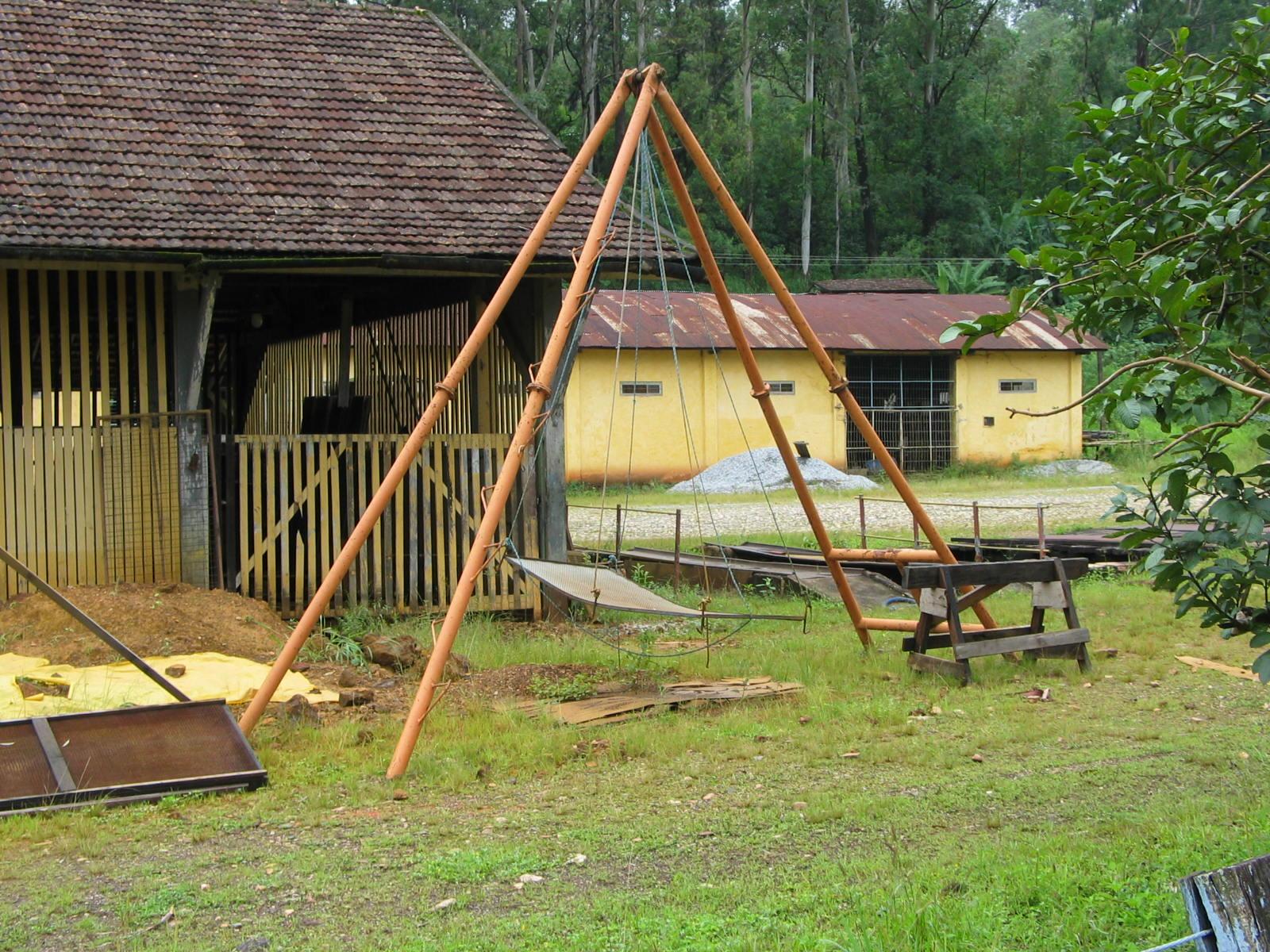 IMG_2393.jpg