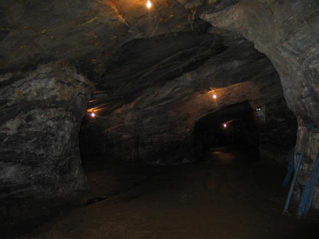 IMG_2412.jpg