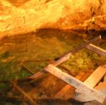IMG_2420.jpg