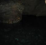 IMG_2423.jpg