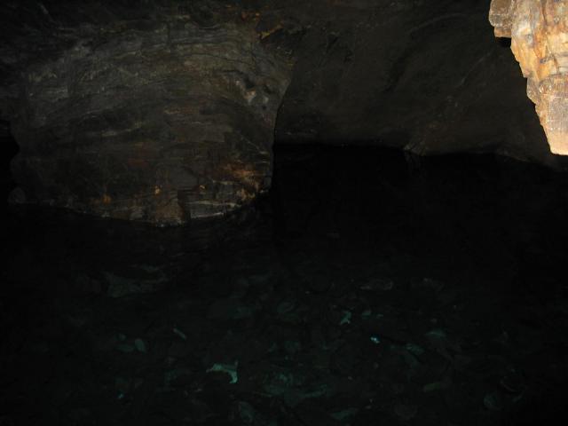 IMG_2423.jpg