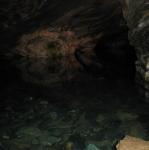 IMG_2425.jpg