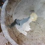 IMG_2467.jpg