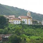 IMG_2514.jpg