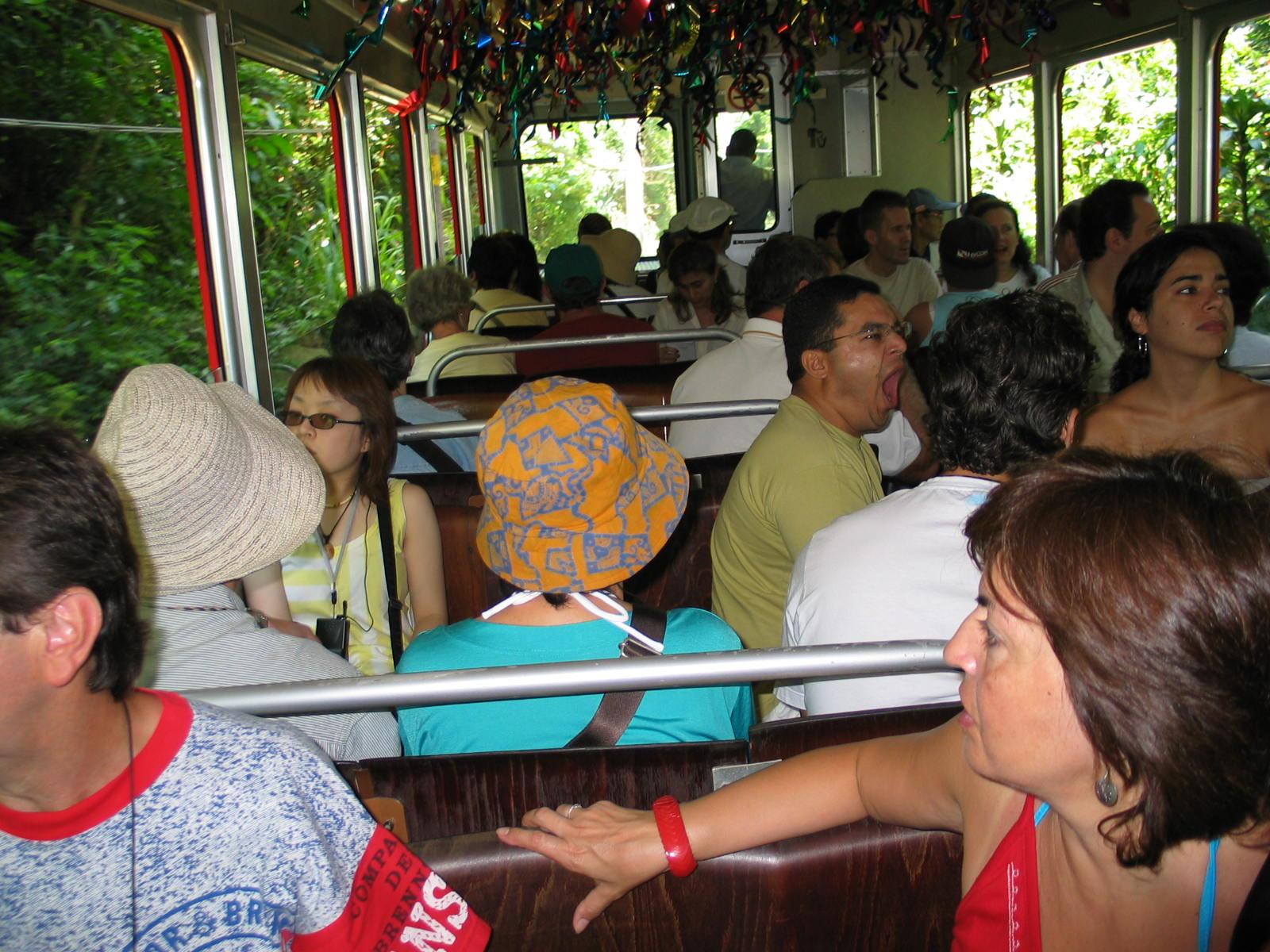 Bondino dans le Parque Nacional de Tijuca