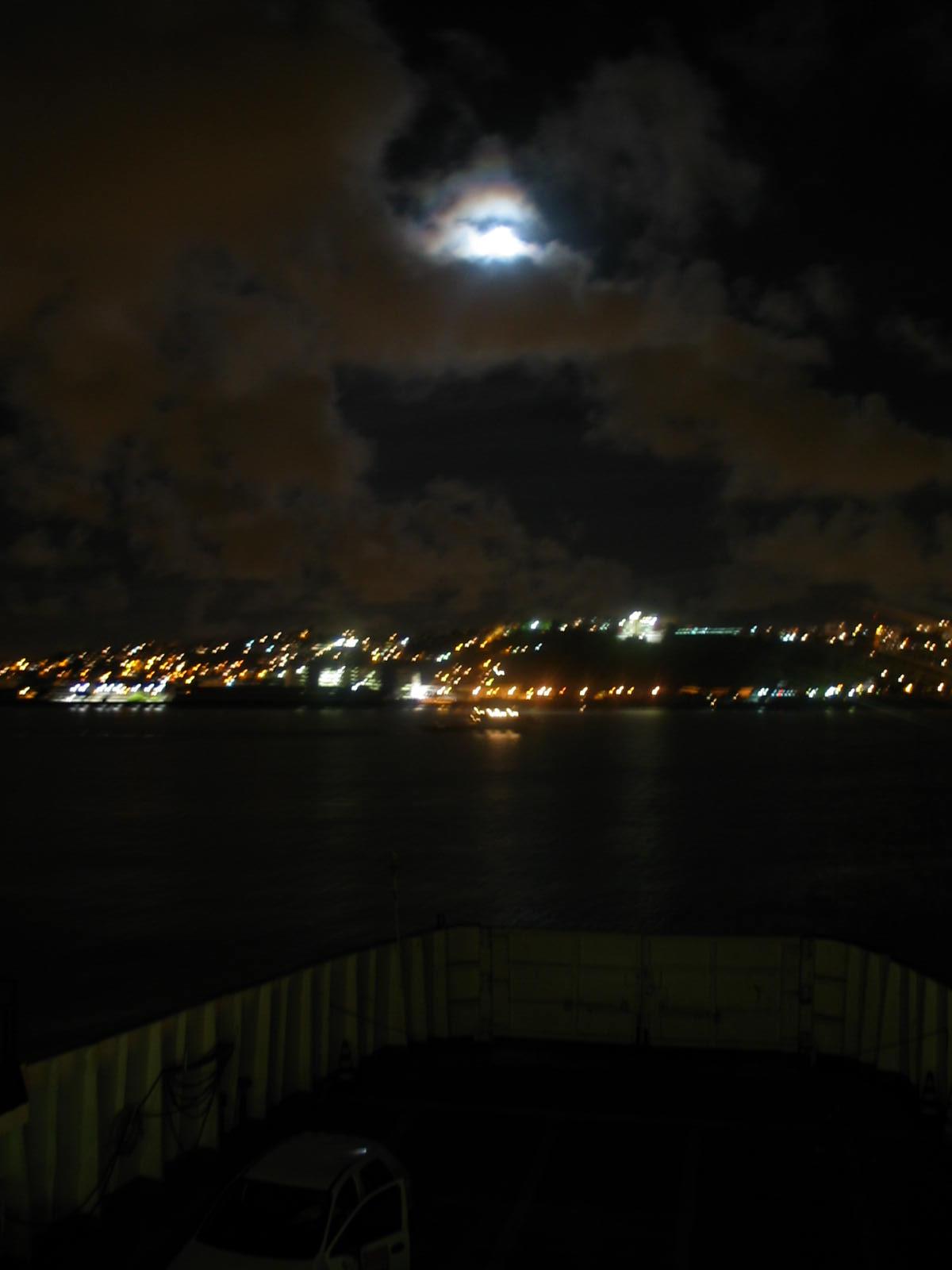 IMG_2868.jpg