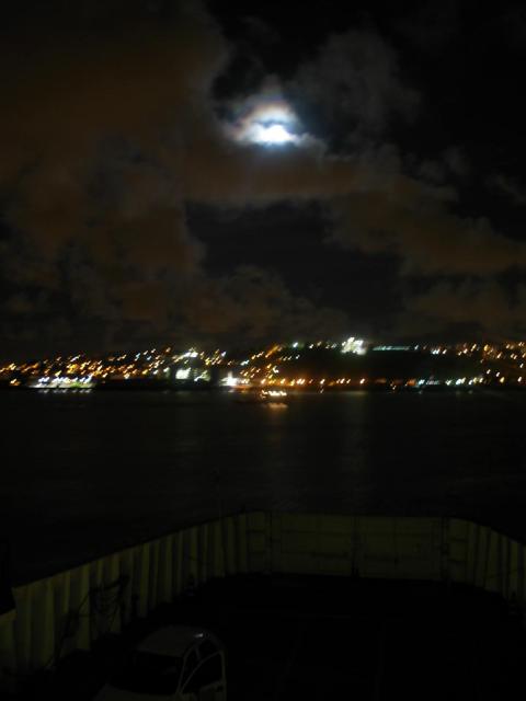IMG_2868.jpg
