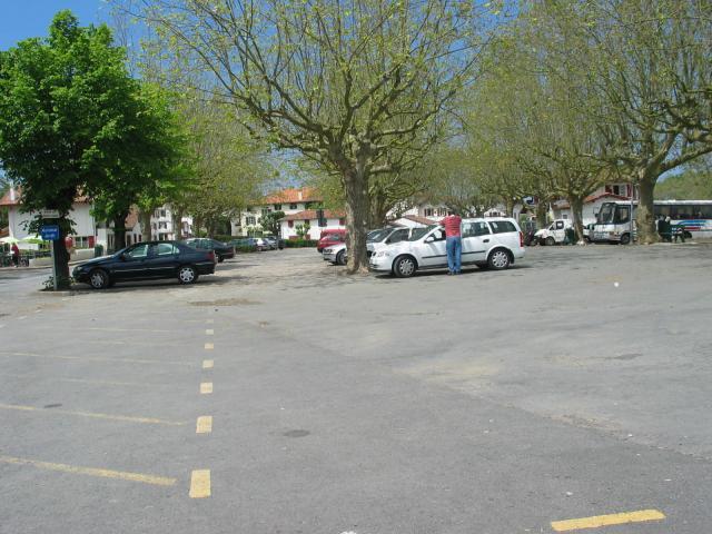 IMG_3362.jpg