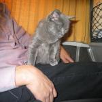IMG_3402.jpg