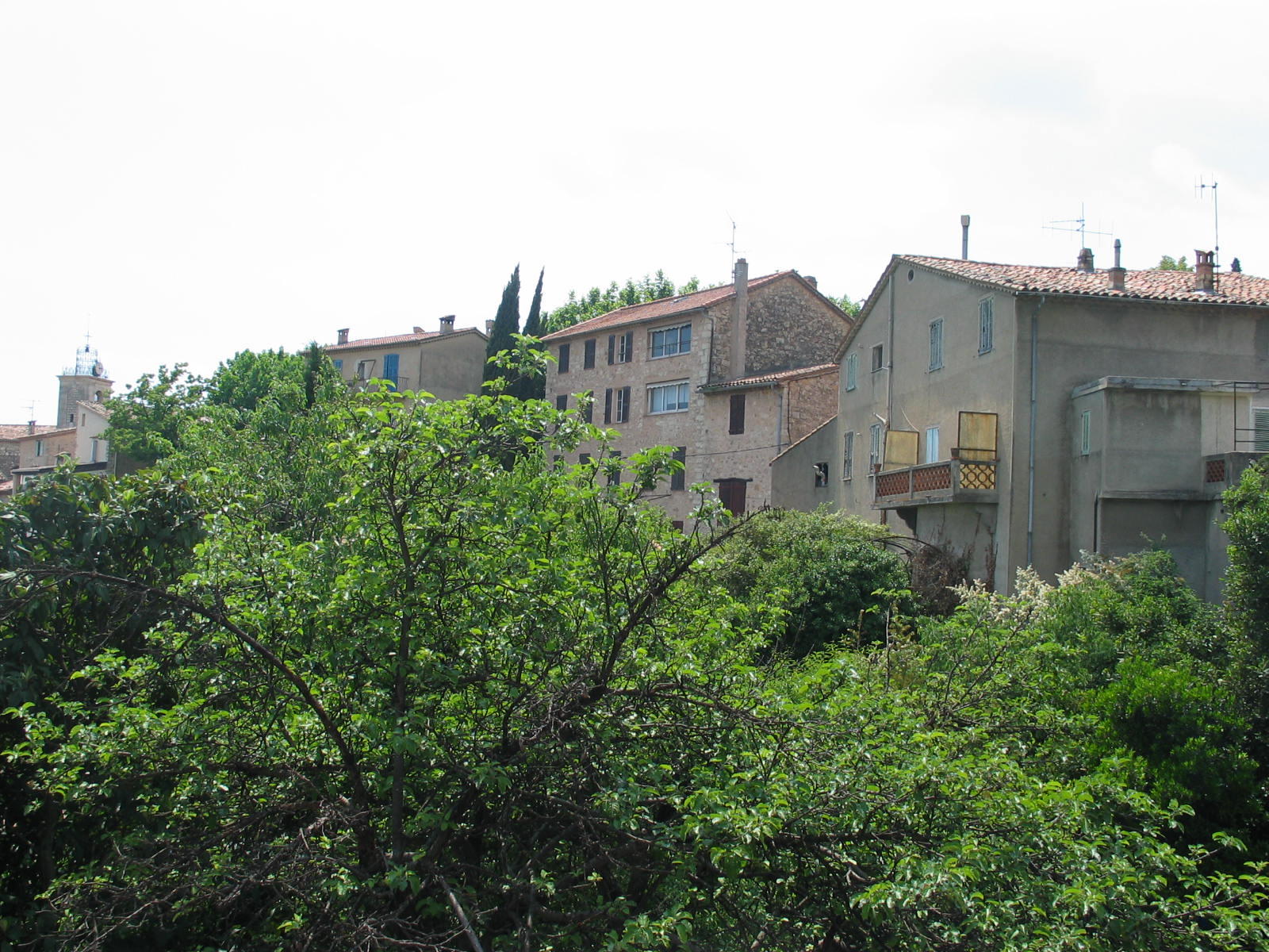 IMG_3433.jpg