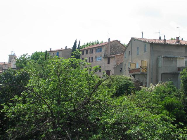 IMG_3433.jpg