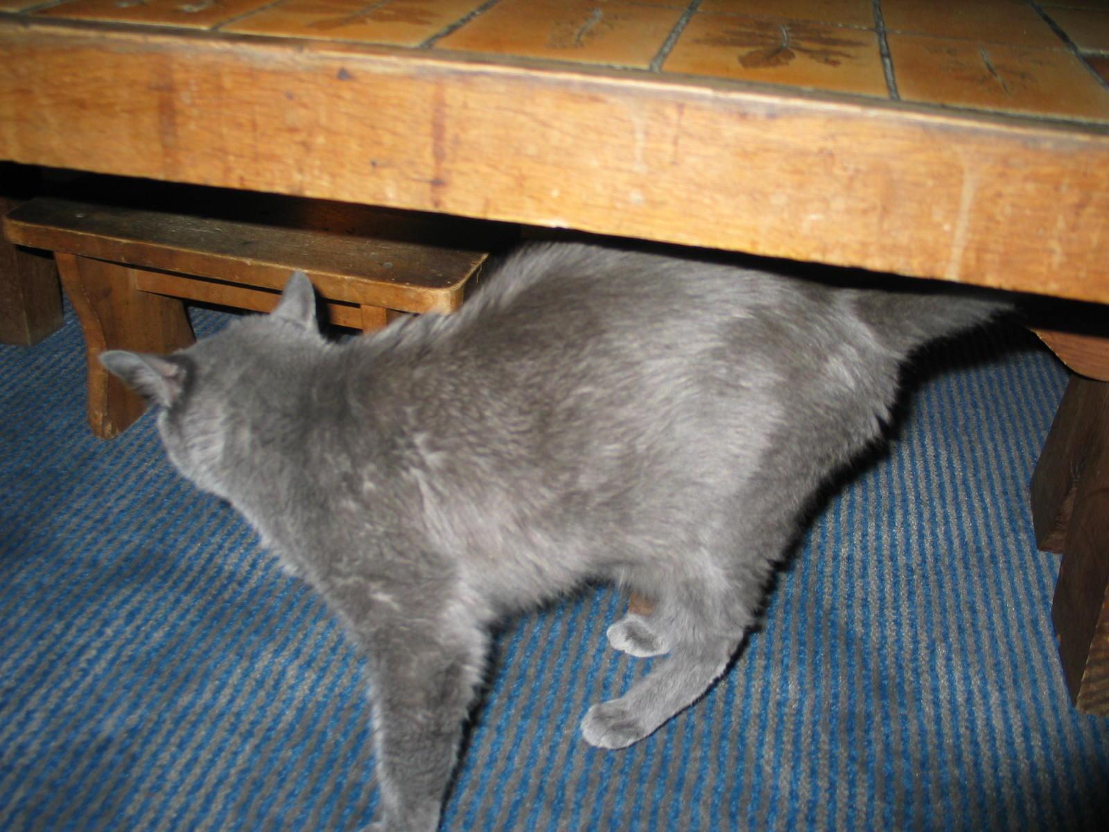 abn.jpg