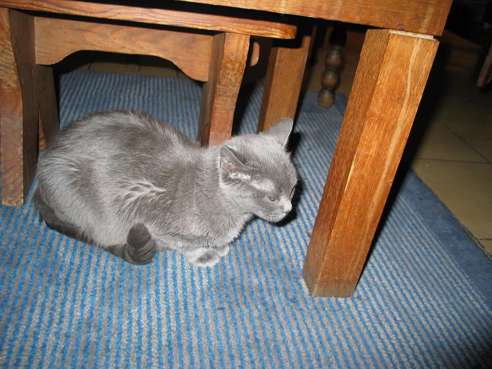 abr.jpg