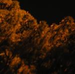 IMG_5023.jpg