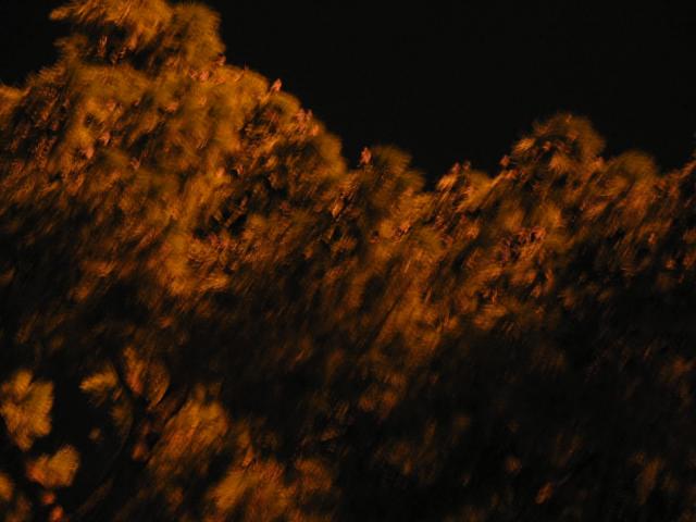 IMG_5023.jpg