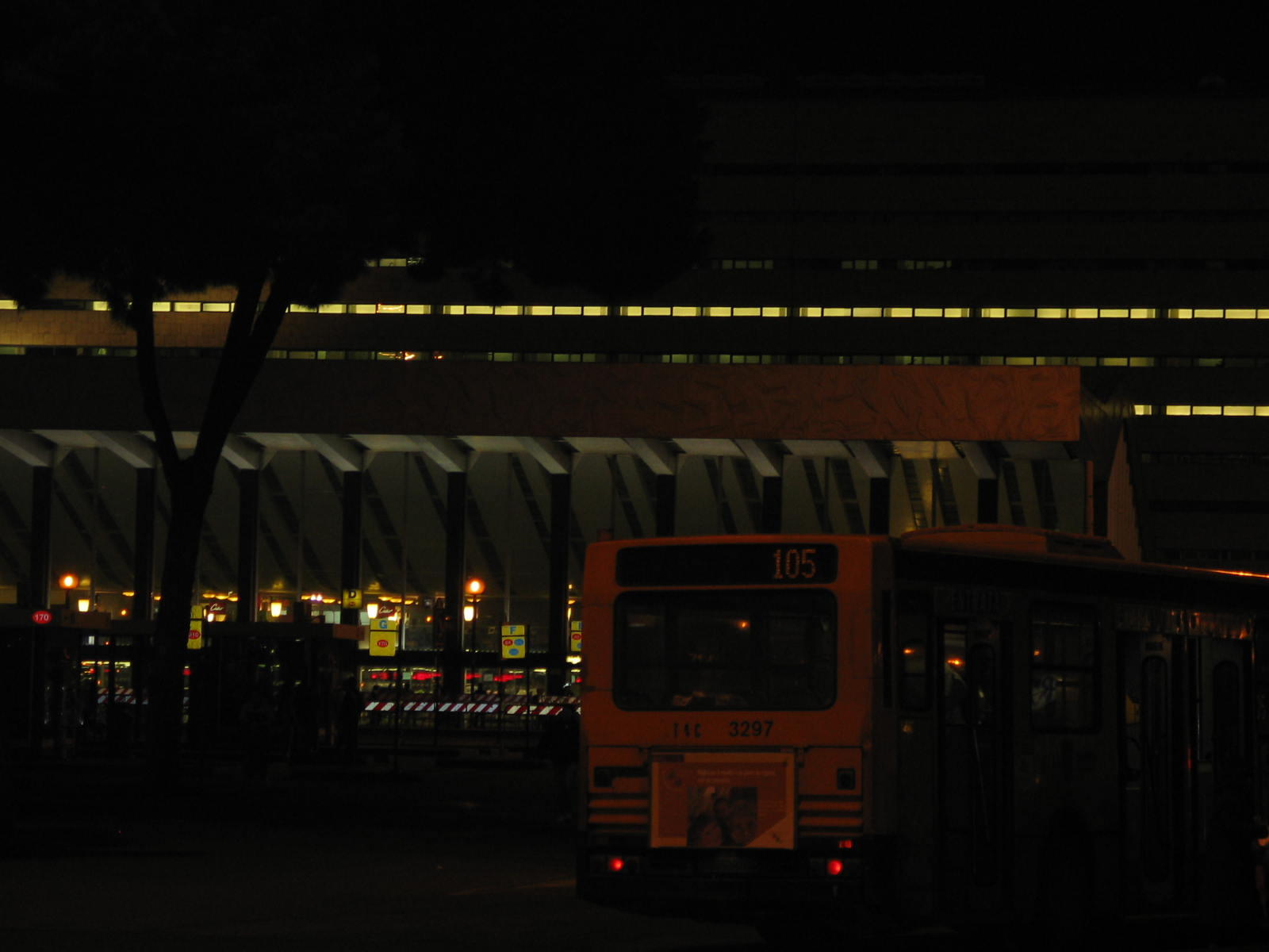 IMG_5026.jpg