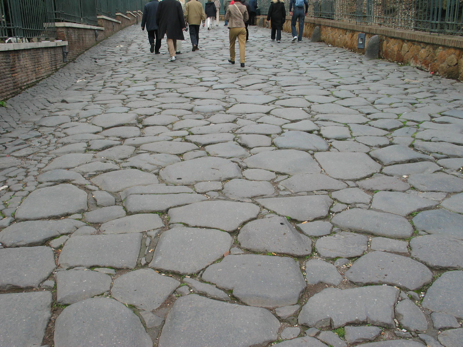 IMG_5061.jpg