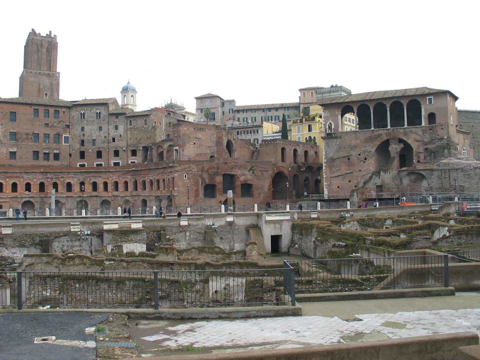 IMG_5077.jpg