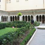 IMG_5116.jpg