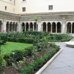 IMG_5119.jpg