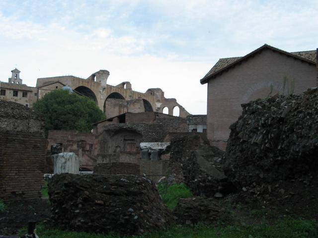 IMG_5128.jpg