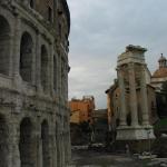IMG_5135.jpg