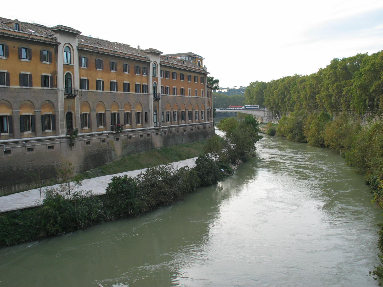 IMG_5139.jpg