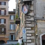 IMG_5145.jpg