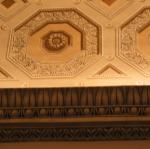 IMG_5204.jpg