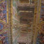 IMG_5205.jpg