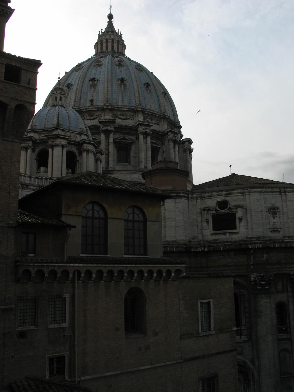 IMG_5214.jpg