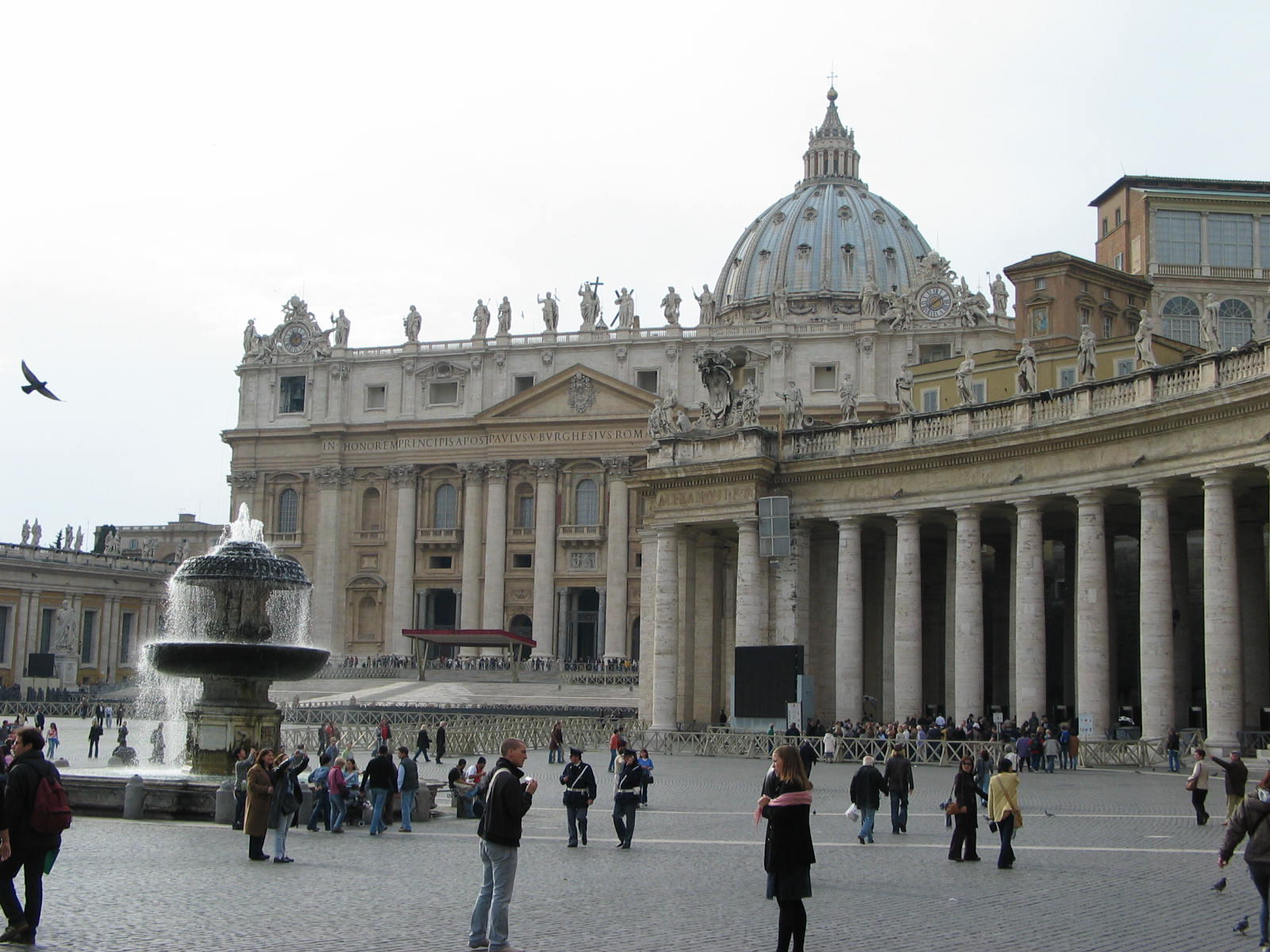 IMG_5231.jpg