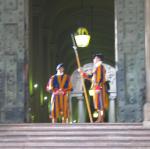 IMG_5242.jpg