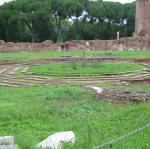 IMG_5315.jpg
