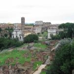 IMG_5335.jpg