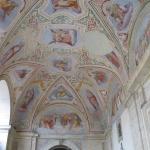 IMG_5352.jpg