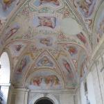 IMG_5353.jpg