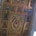IMG_5358.jpg