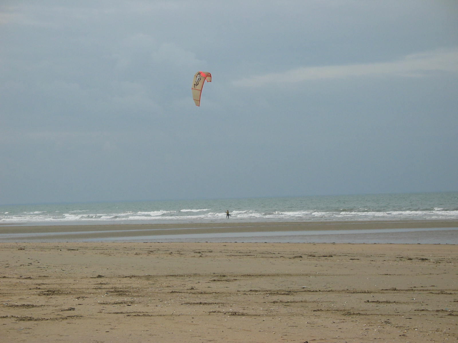 IMG_4911.jpg