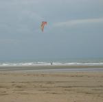 IMG_4911.jpg