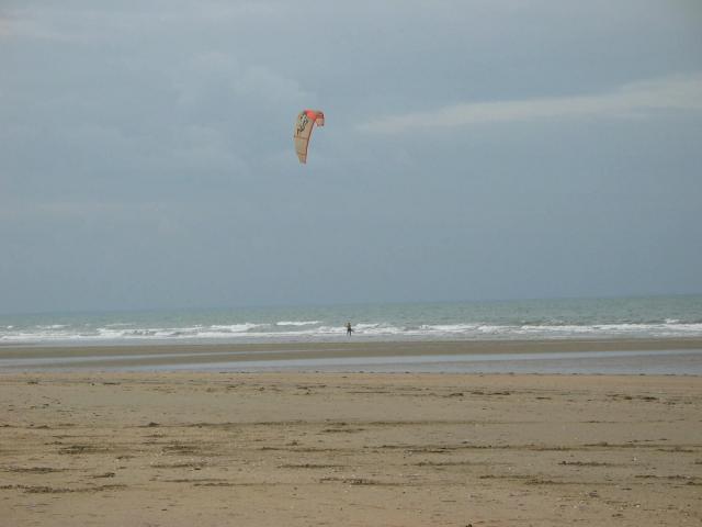 IMG_4911.jpg