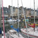 IMG_4941.jpg