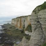 IMG_4979.jpg