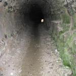 IMG_4985.jpg