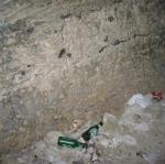 IMG_4986.jpg