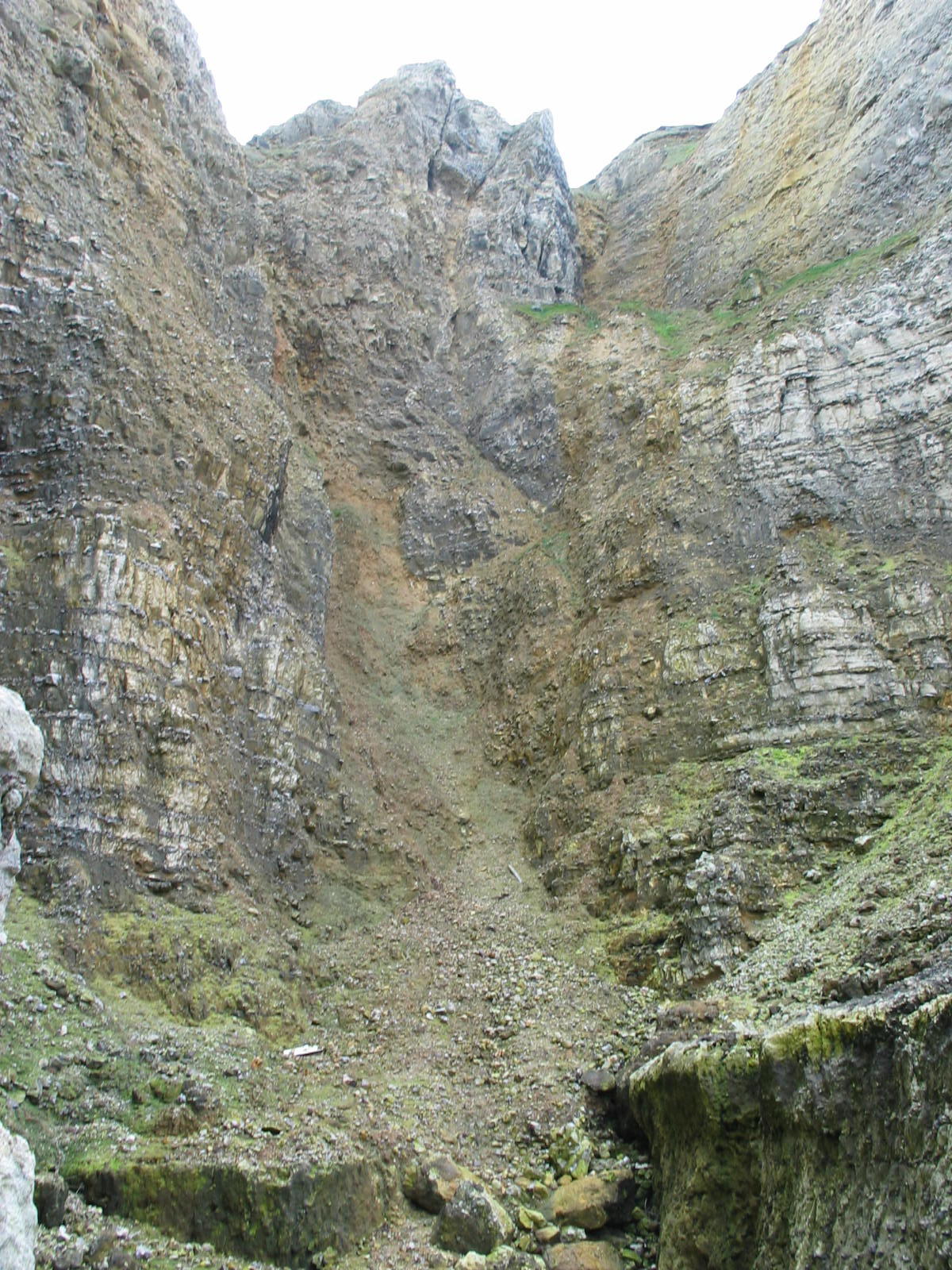 IMG_4987.jpg