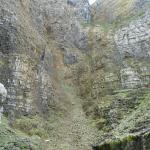 IMG_4987.jpg