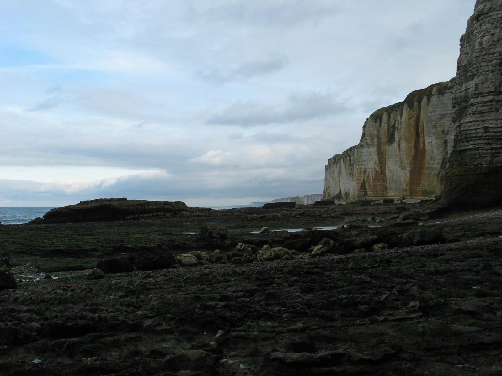 IMG_4992.jpg