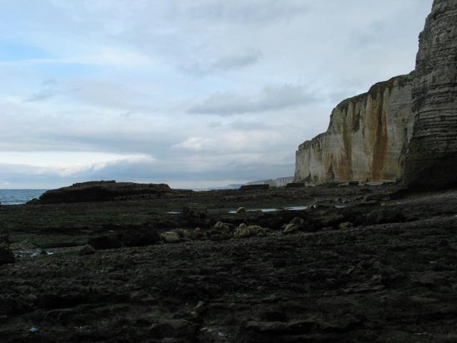 IMG_4992.jpg