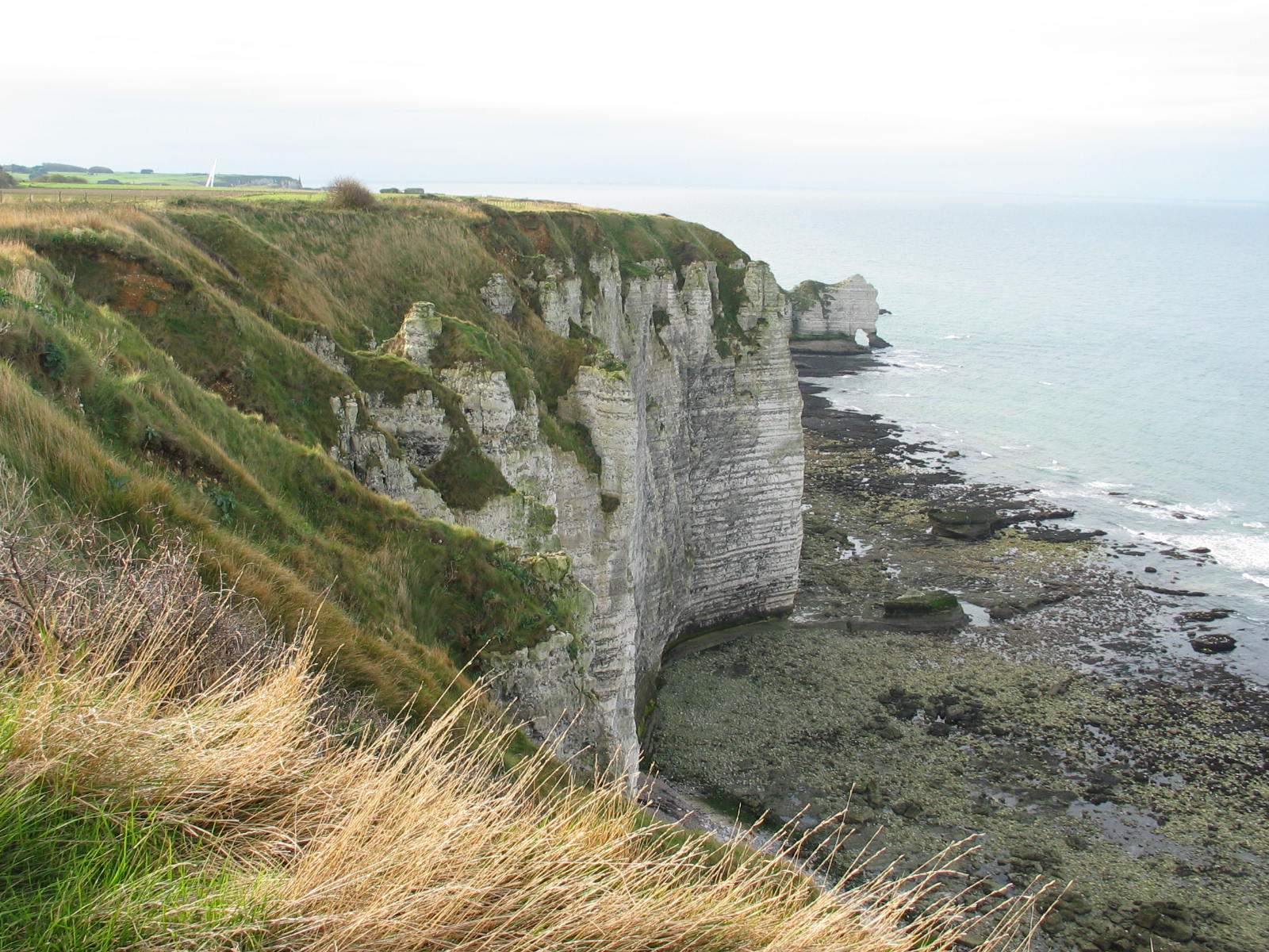 IMG_4996.jpg